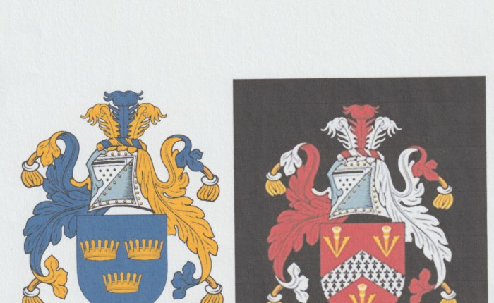 THE WARD AND ARNOLD FAMILIES OF COBB COUNTY GEORGIA by Judson C. Ward, Jr. & Jonathan Ansley&nbsp;Ward